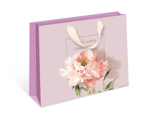 Сумка бумажная стандарт плюс