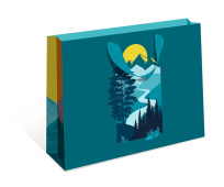 Сумка бумажная стандарт плюс