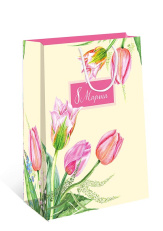 Сумка подарочная