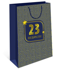 Сумка подарочная